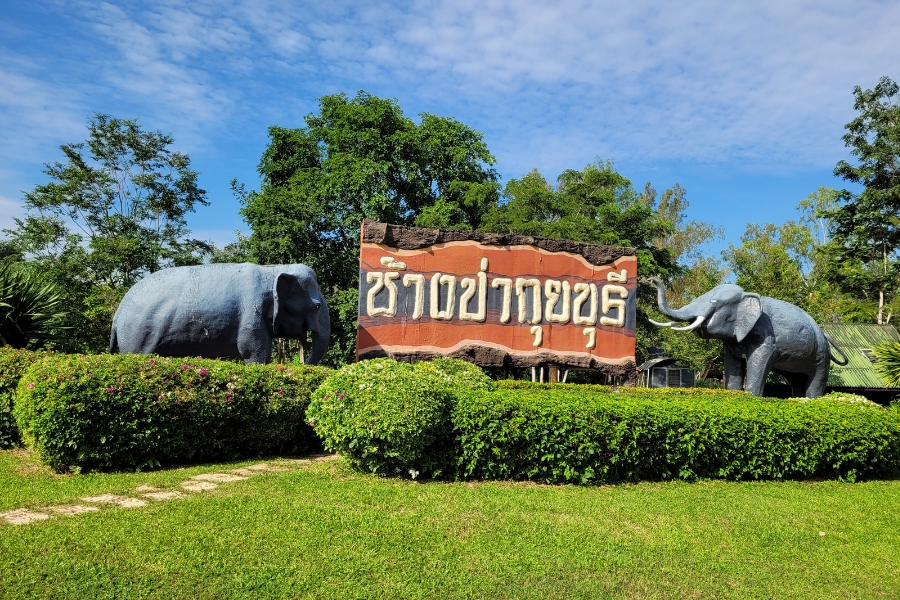 Ethical Elephant spotting, entrance to the park at Kui Buri