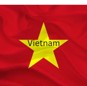 Vietnam flag