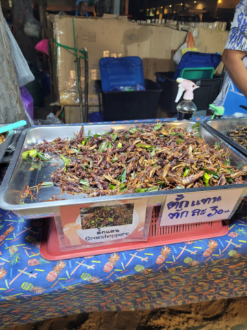 Bugs for sale at the night market