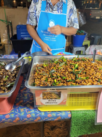 Tray of cooked bugs for sale