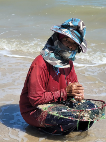 Shell Collector on the beach