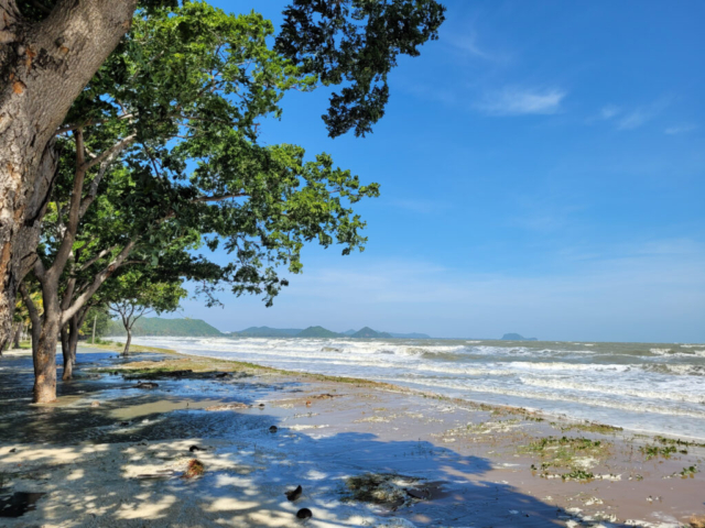 Rough waves on the beach