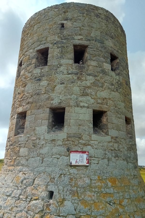 One of the many observation towers