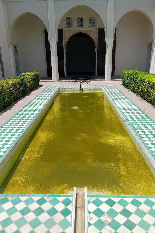A bit of a murky pool in one of the courtyard areas.