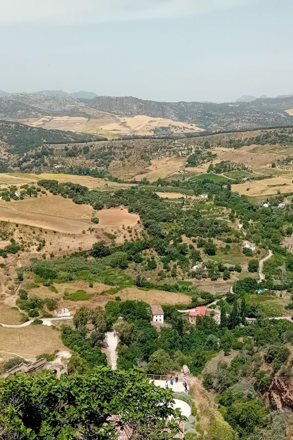 View from the garden