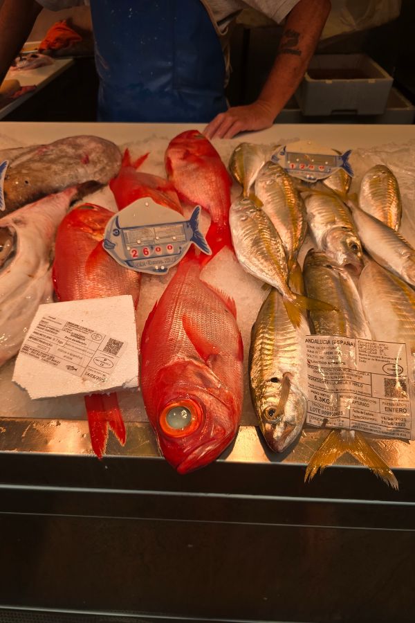 Fresh fish