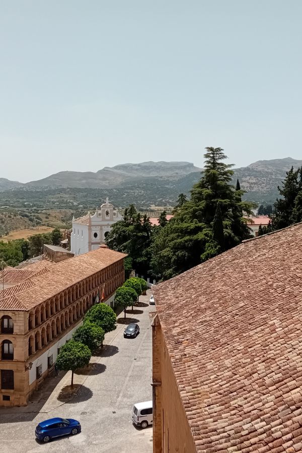 View from a church roof