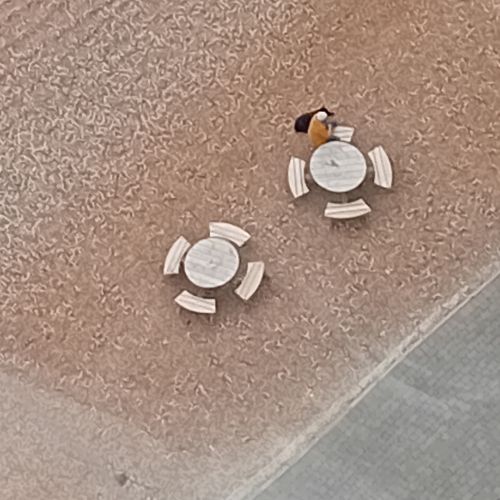 View of Jen and dog from top of i360