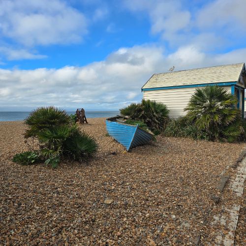 A boat on the way to the Marina