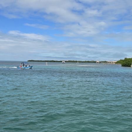 The actual split in the island