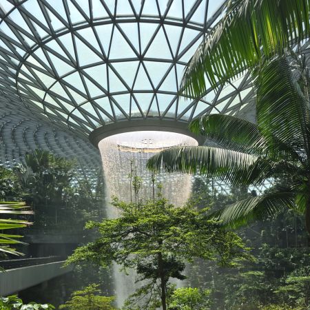 The Rain Vortex at Changi Airport