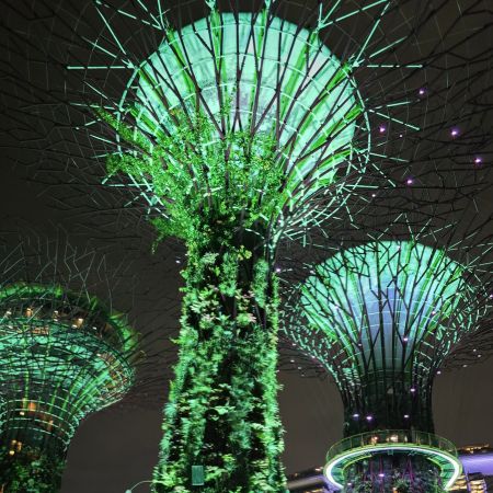 Supertree Grove at night