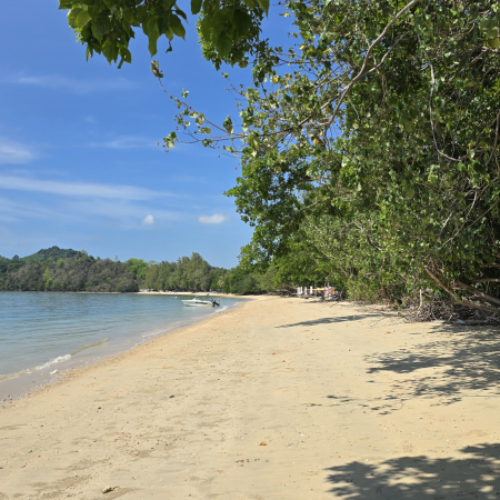 Another empty beach