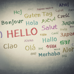 Hello