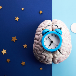 image of a brain and alaram clock
