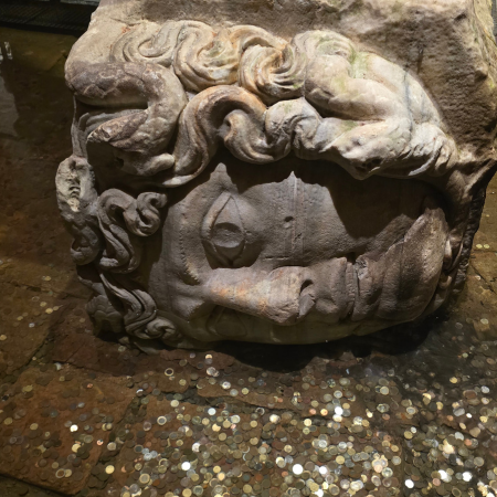 Medusa head