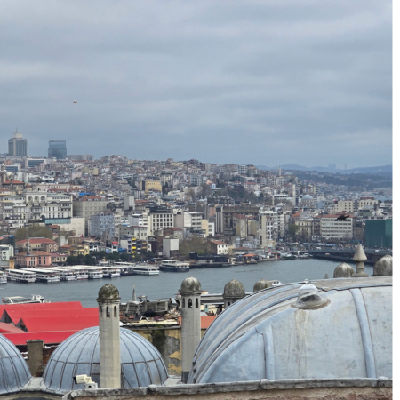 View from the terrace of the mosque