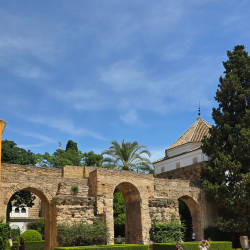 Alcazar garden